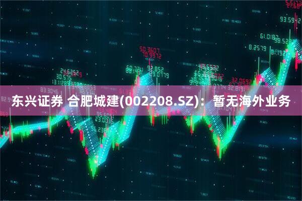 东兴证券 合肥城建(002208.SZ)：暂无海外业务
