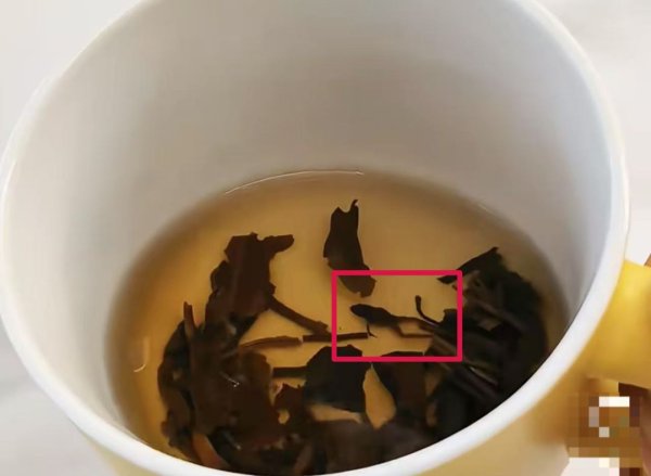 通弘网 奈雪的茶，被曝喝出青蛙