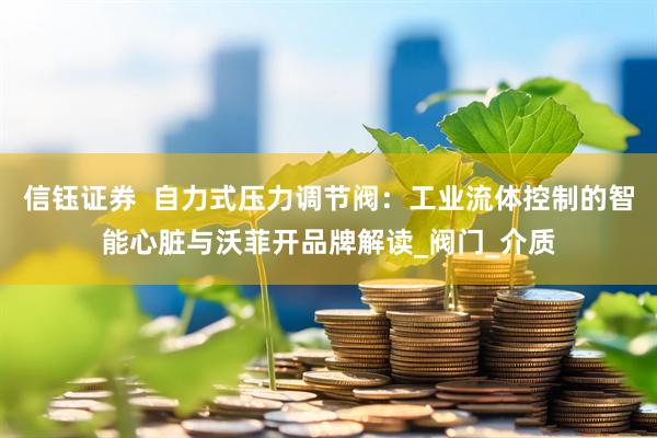 信钰证券  自力式压力调节阀：工业流体控制的智能心脏与沃菲开品牌解读_阀门_介质