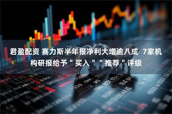 君盈配资 赛力斯半年报净利大增逾八成  7家机构研报给予＂买入＂＂推荐＂评级